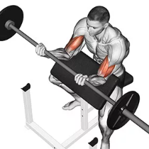 repetições parciais